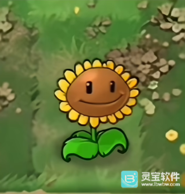 植物大战僵尸恐怖版