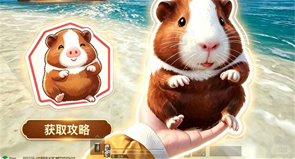 和平精英豚鼠大金宠物怎么获取