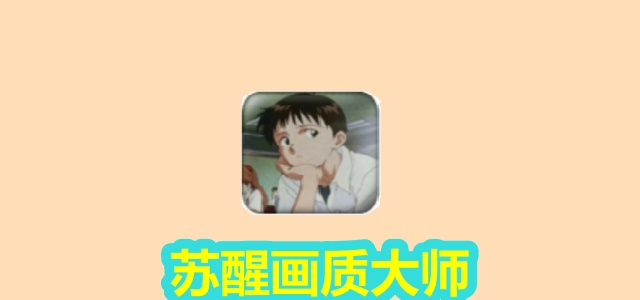 苏醒画质大师