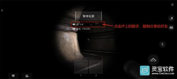The Ghost中文联机版复制IP