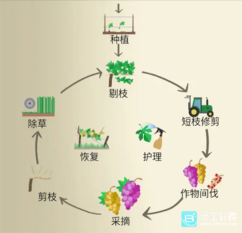 酿造物语中文版