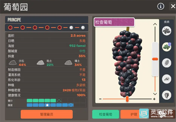 酿造物语中文版
