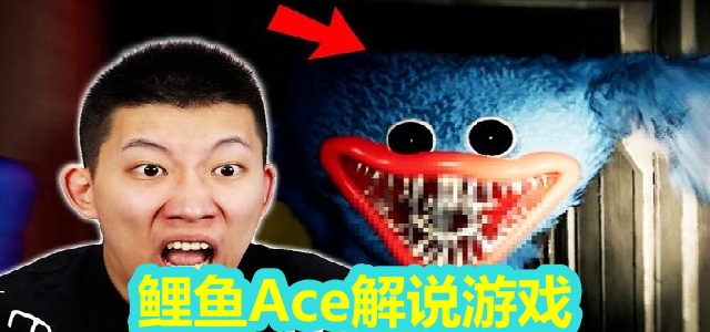 鲤鱼Ace解说游戏