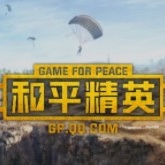 和平精英美化包手机版