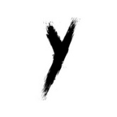 Cy社区官方正版