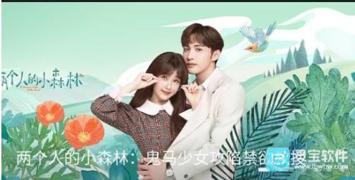 剧白白正版怎么下载电视剧1