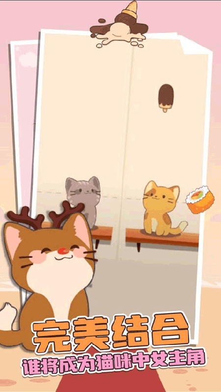 猫咪二重奏官方正版