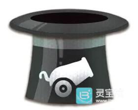追逐繁星的兔子