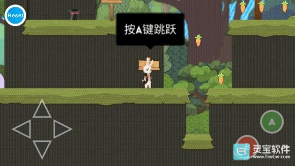 追逐繁星的兔子