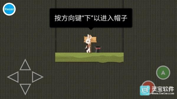 追逐繁星的兔子