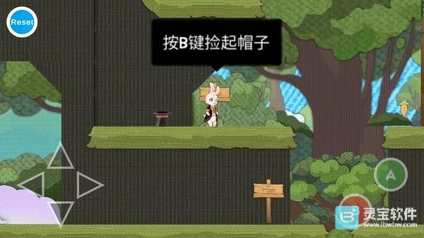 追逐繁星的兔子