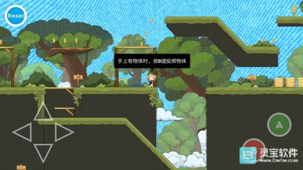 追逐繁星的兔子