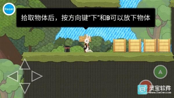 追逐繁星的兔子