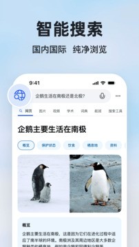 必应国际版搜索引擎截图2