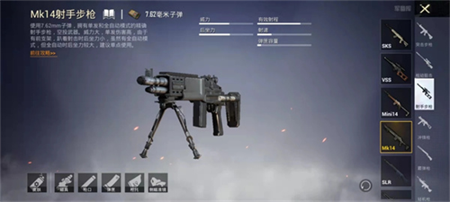PUBG MOBILE(国际服)
