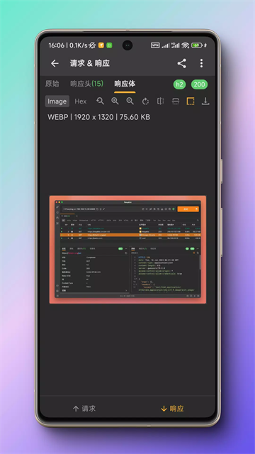 小黄鸟抓包软件最新版截图1