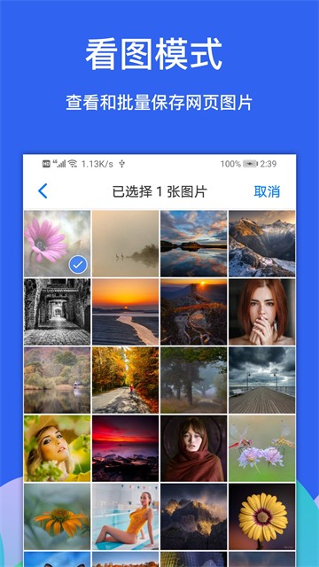 Alook浏览器安卓版截图2