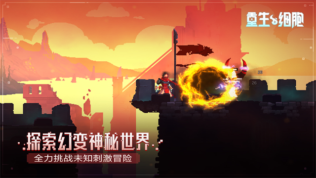 重生细胞B服截图4