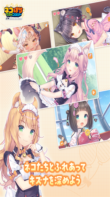猫娘乐园世界连结