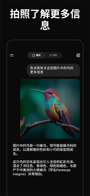 Grok中文版截图4