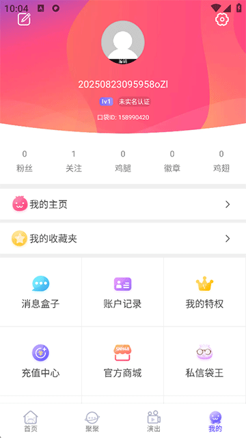 口袋48成员版截图1