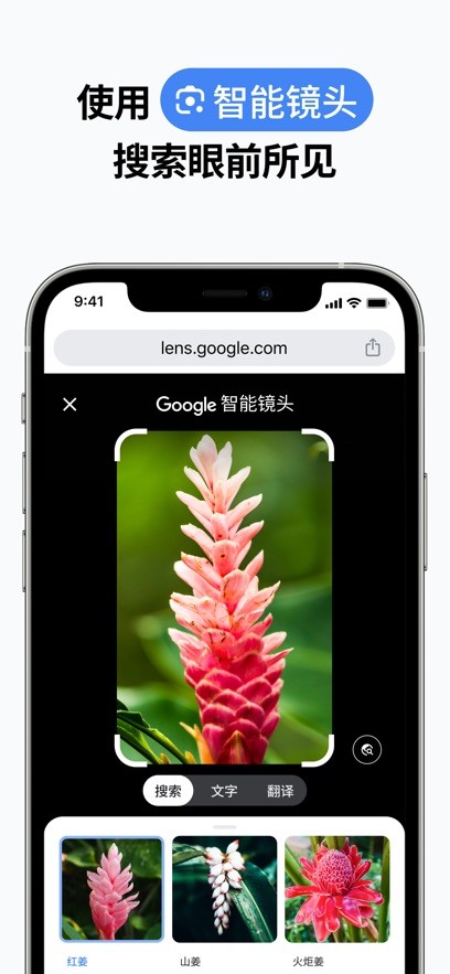 Chrome浏览器安卓版截图1
