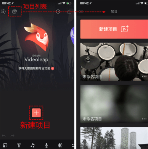 VideoLeap