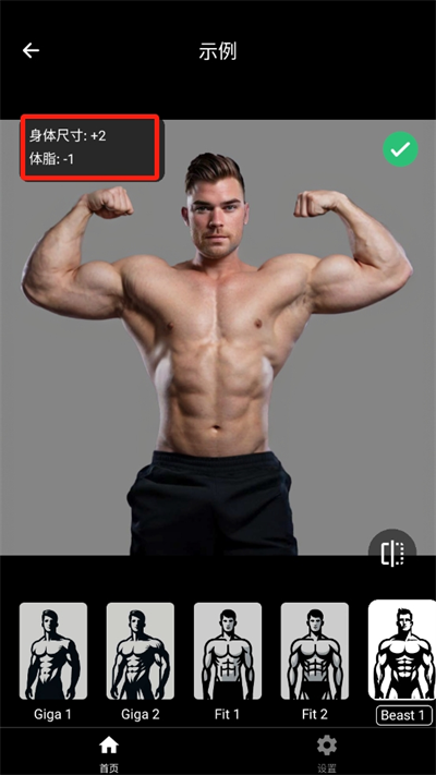 GIGABODY